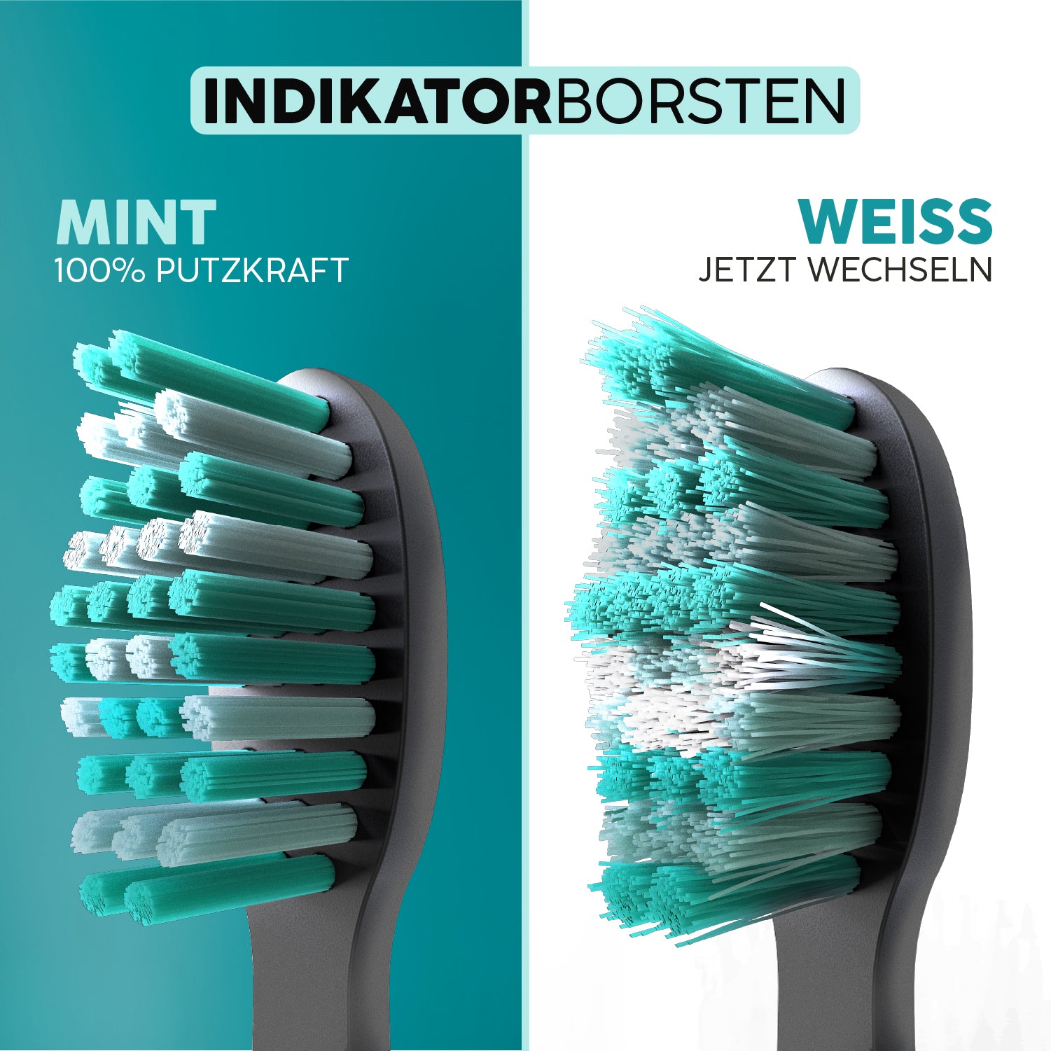 happybrush-aufsteckb-rsten-eco-vibe-3-black-mint image 4