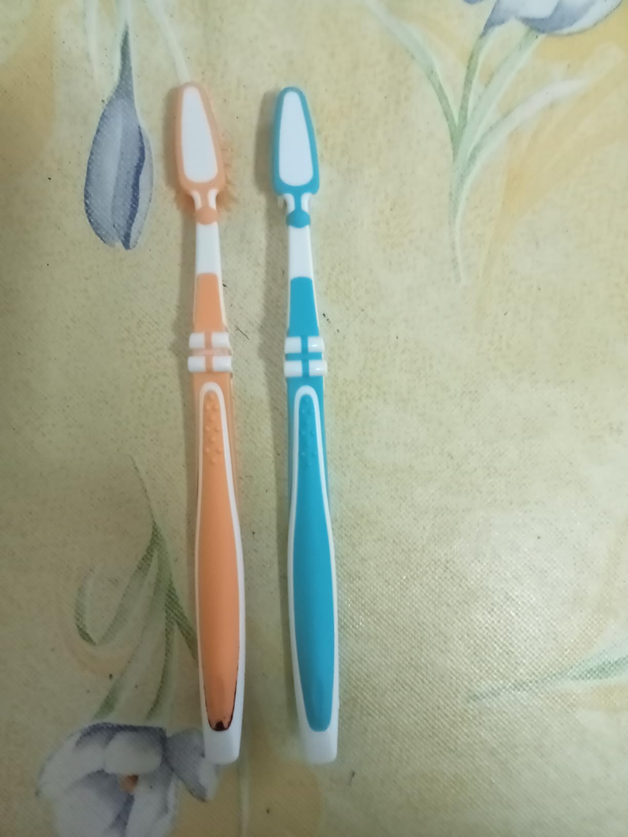 Gute Zahnbürste zum kleinen Preis