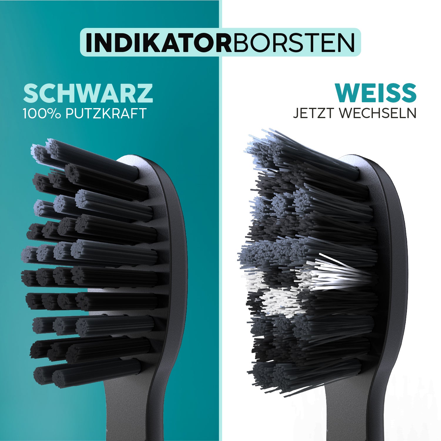 happybrush-aufsteckb-rsten-eco-vibe-3-allblack image 4