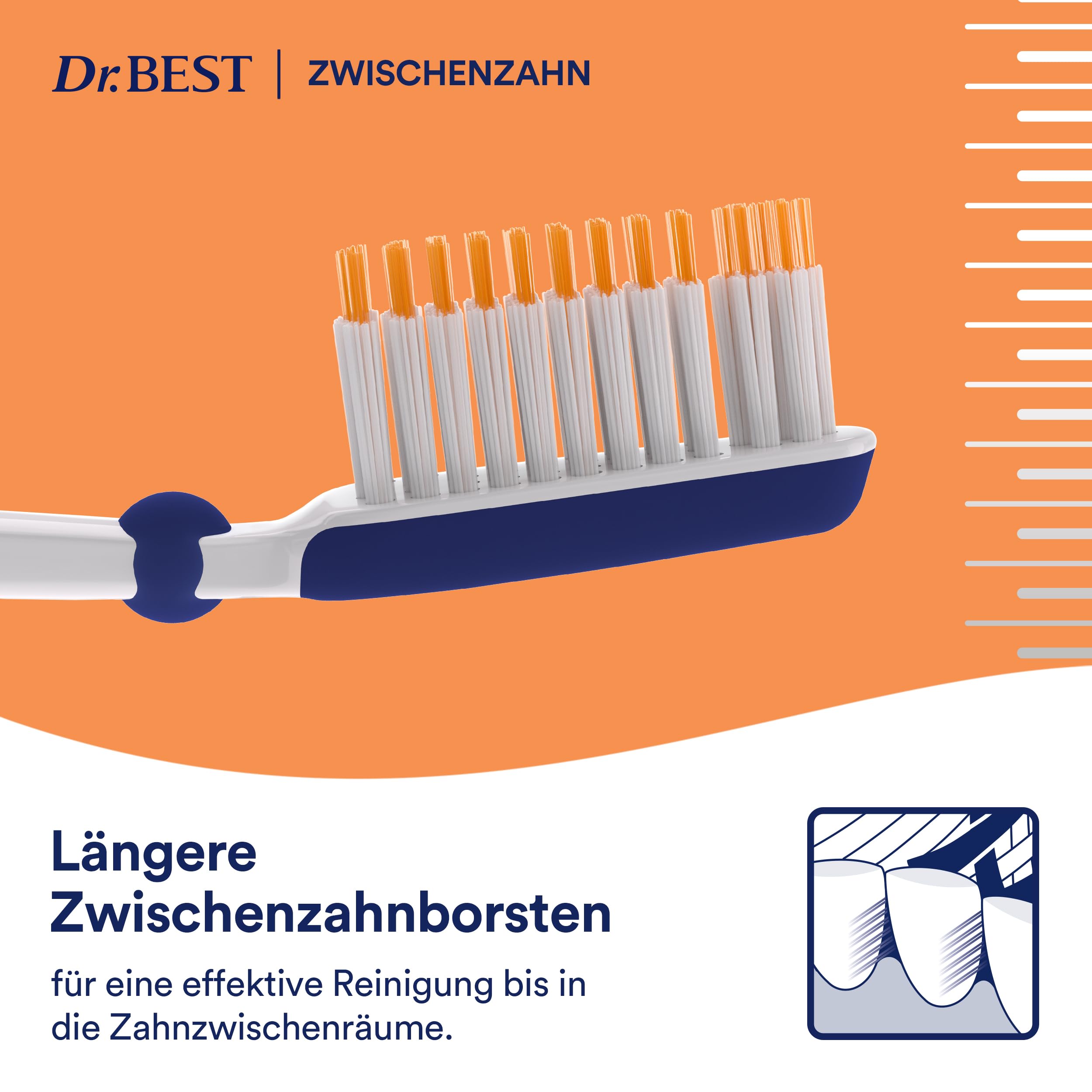 dr-best-zwischenzahn-handzahnb-rste-mittel-mit-l-ngeren-spiralsborsten-kugelgele image 4